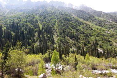 Bishkek Kırgızistan 'ın Tian Shan dağlarındaki Ala Archa Milli Parkı