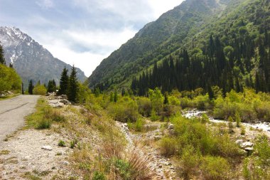 Bishkek Kırgızistan 'ın Tian Shan dağlarındaki Ala Archa Milli Parkı