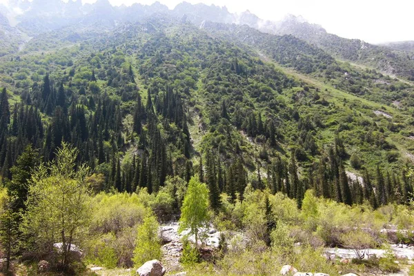 Parco Nazionale Ala Archa Nelle Montagne Tian Shan Del Kirghizistan — Foto Stock