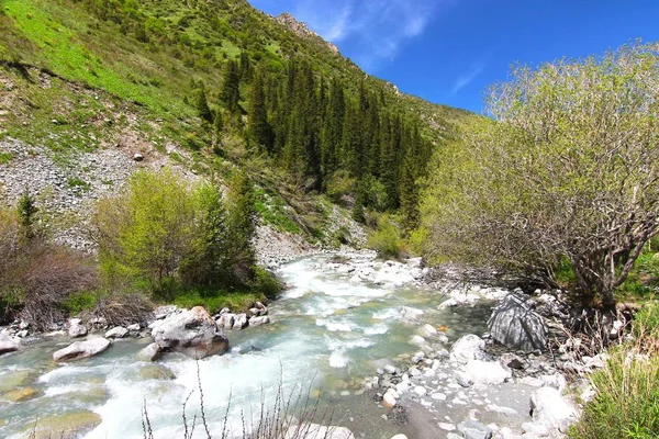 Parque Nacional Ala Archa Las Montañas Tian Shan Biskek Kirguistán — Foto de Stock