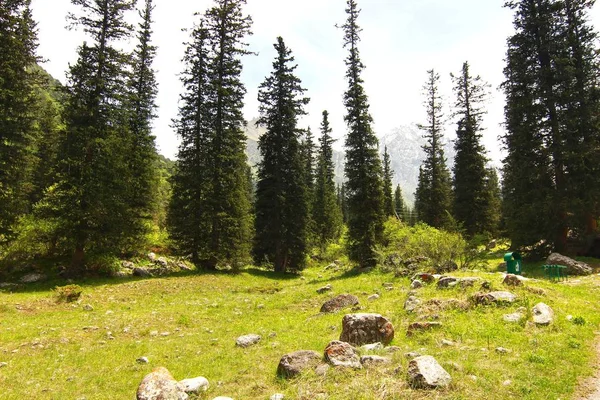 Parco Nazionale Ala Archa Nelle Montagne Tian Shan Del Kirghizistan — Foto Stock