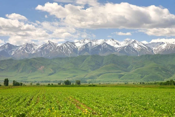 Belo Cenário Bishkek Com Montanhas Tian Shan Quirguistão — Fotografia de Stock