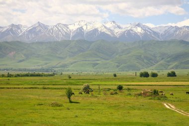 Bişkek içinde güzel doğal manzaralı Tian Tanrı Dağları, Kırgızistan ile