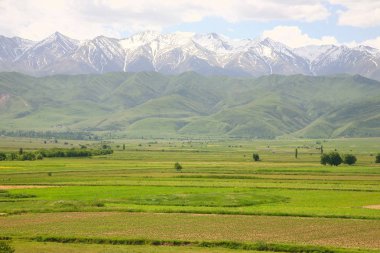 Bişkek içinde güzel doğal manzaralı Tian Tanrı Dağları, Kırgızistan ile