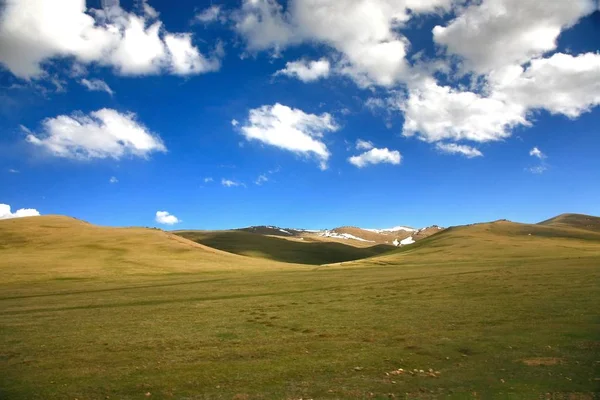 Large Meadow Blue Sky Ulaanbaatar Mongolia — Stock Photo, Image