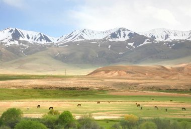 Narin için Bişkek güzel doğal manzaralı rota ile Kırgızistan Tian Shan dağlarında
