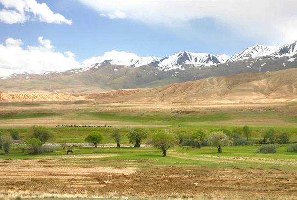 Narin için Bişkek güzel doğal manzaralı rota ile Kırgızistan Tian Shan dağlarında