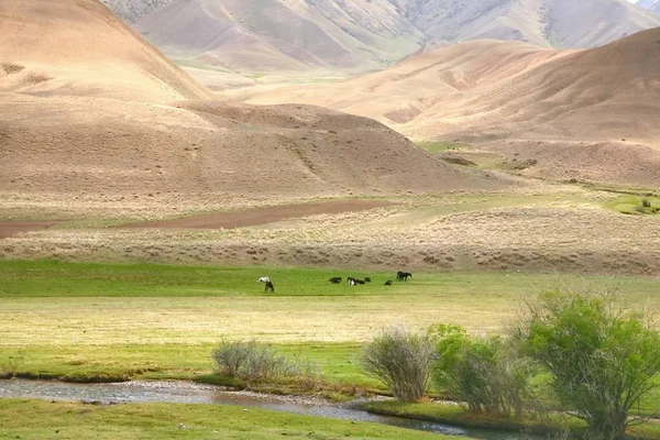 ナリン市のキルギスタンにビシュケクから美しい景観のルート — ストック写真