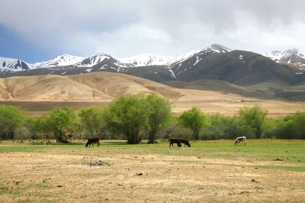 Route Van Prachtige Scenic Uit Bisjkek Naar Naryn Stad Van — Stockfoto