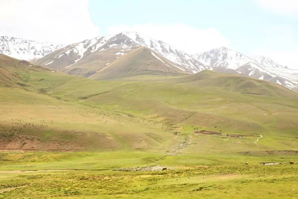 Narın şehri Kırgızistan Bişkek güzel doğal manzaralı rota