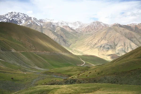 Hermoso Paisaje Biskek Naryn Con Las Montañas Tian Shan Kirguistán — Foto de Stock