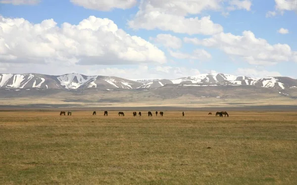 Bela Paisagem Bishkek Naryn Com Montanhas Tian Shan Quirguistão — Fotografia de Stock