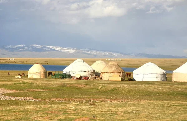 Kırgızistan Naryn Song Kul Gölü Nde Geniş Bir Çayırdaki Ger — Stok fotoğraf