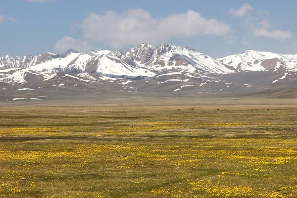 Den Vackra Natursköna Vid Song Kul Sjön Naryn Med Tian — Stockfoto