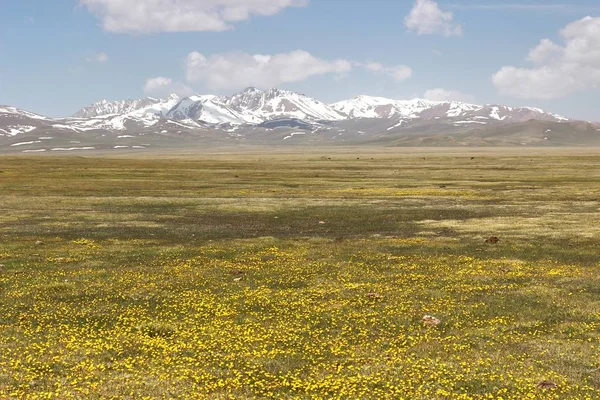 Den Vackra Natursköna Vid Song Kul Sjön Naryn Med Tian — Stockfoto