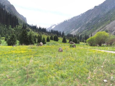 Bishkek Kırgızistan 'ın Tian Shan dağlarındaki Ala Archa Milli Parkı