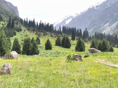 Bishkek Kırgızistan 'ın Tian Shan dağlarındaki Ala Archa Milli Parkı