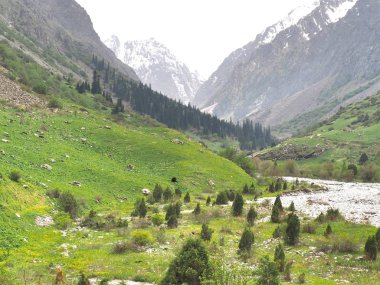 Bishkek Kırgızistan 'ın Tian Shan dağlarındaki Ala Archa Milli Parkı