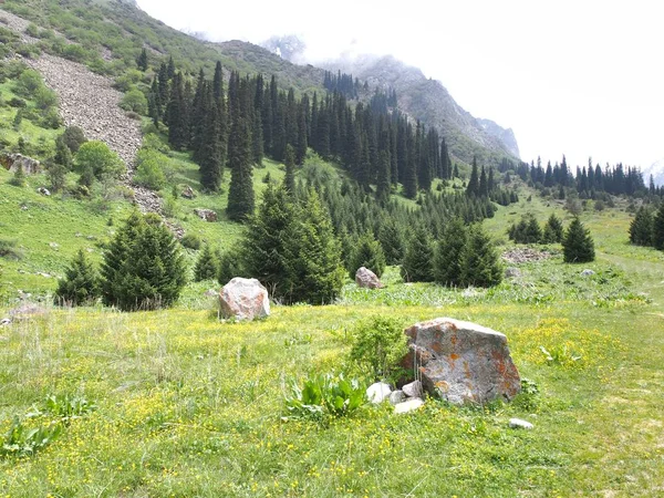 Parco Nazionale Ala Archa Nelle Montagne Tian Shan Del Kirghizistan — Foto Stock