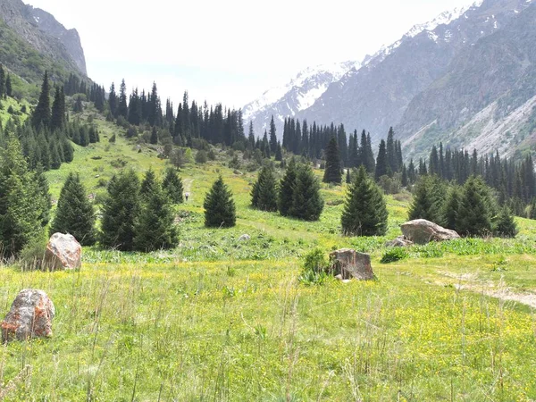 Bishkek Kırgızistan 'ın Tian Shan dağlarındaki Ala Archa Milli Parkı