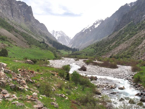 Parco Nazionale Ala Archa Nelle Montagne Tian Shan Del Kirghizistan — Foto Stock