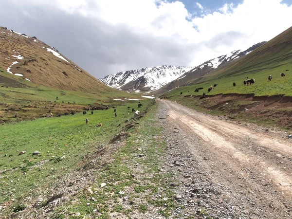 Parque Nacional Ala Archa Nas Montanhas Tian Shan Quirguistão Bishkek — Fotografia de Stock