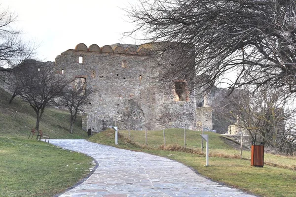 Slovakya'nın başkenti Bratislava'daki Devin Kalesi — Stok fotoğraf