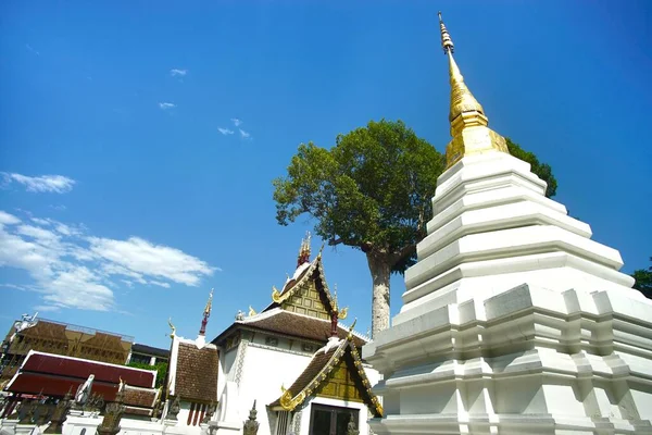 Wat Chedi Luang Tempel Chiang Mai Thailand — Stockfoto