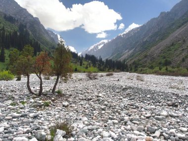 Bishkek Kırgızistan Ala Archa Ulusal Parkı