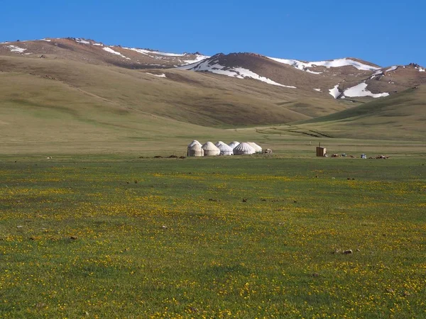 Lägret Stor Äng Vid Sjön Song Kul Naryn Kirgizistan — Stockfoto