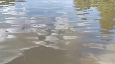 Nehirdeki su dalgası