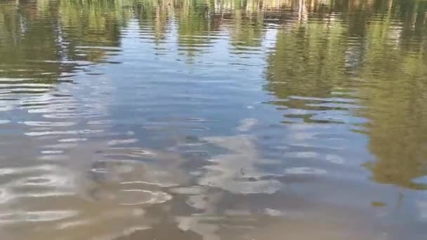 河流中的水波 — 图库视频影像