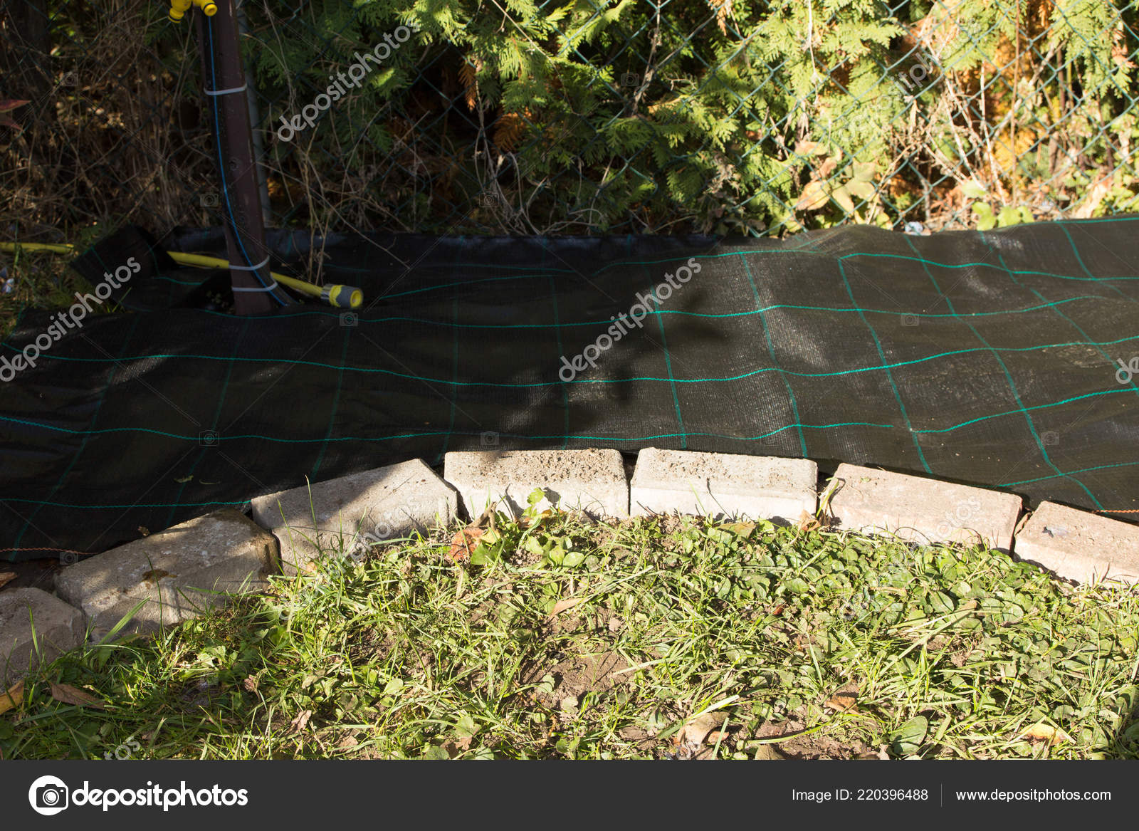 Laien Vlies Garten Stockfoto C Artalis 220396488