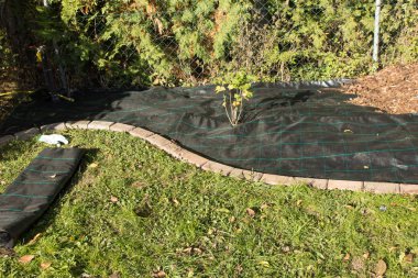 Bahçedeki yatıyordu Polar 