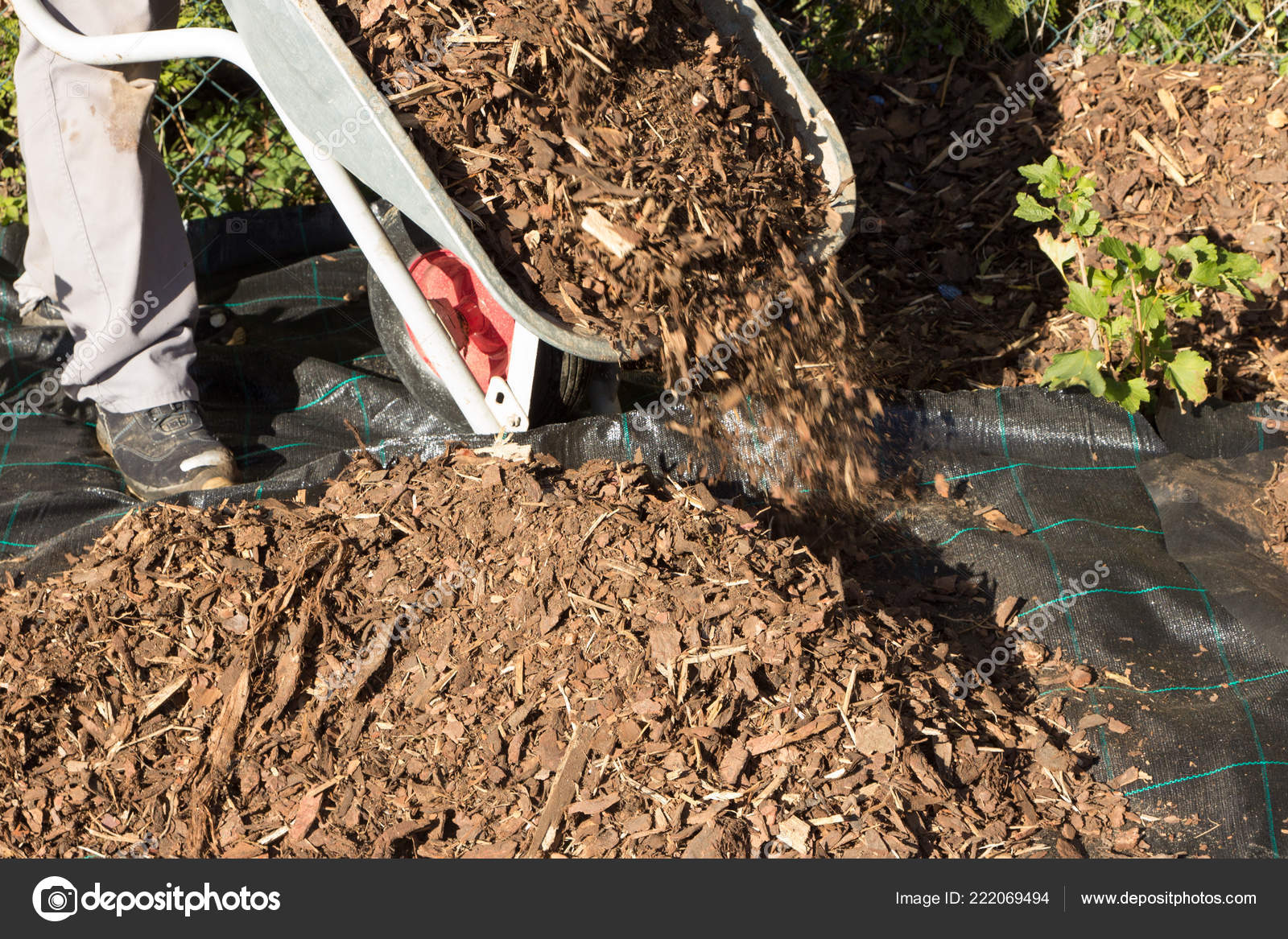 spread-mulch-rebates-stock-photo-artalis-222069494