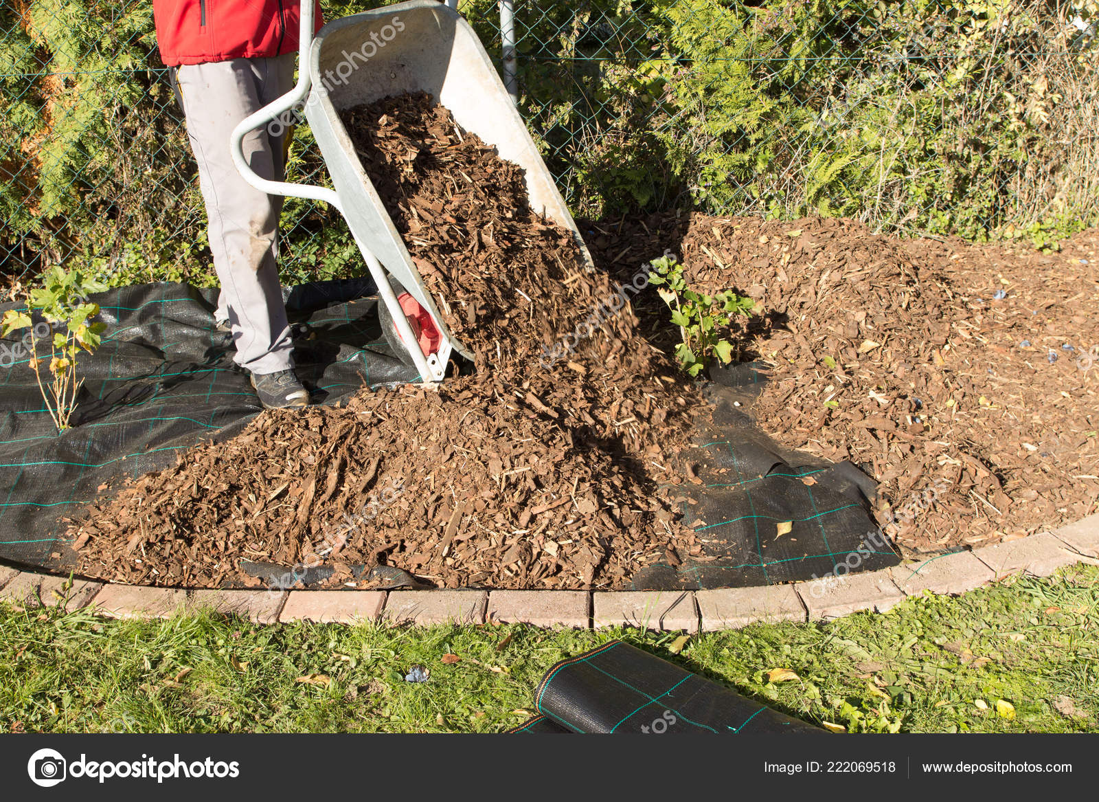 pictures-mulch-gardens-spread-mulch-rebates-stock-photo-artalis