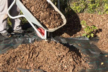 Malç geri ödemeye yaymak