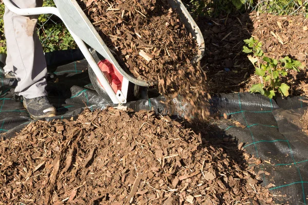 Malç geri ödemeye yaymak