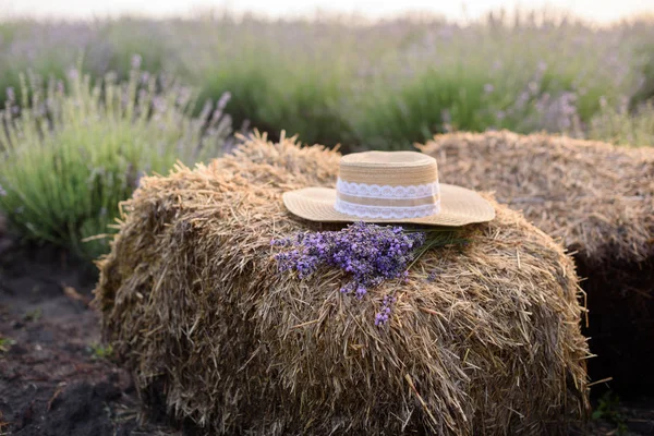 Saman Bir Haystack Lavanta Alan Zemin Karşı Şapkası — Stok fotoğraf