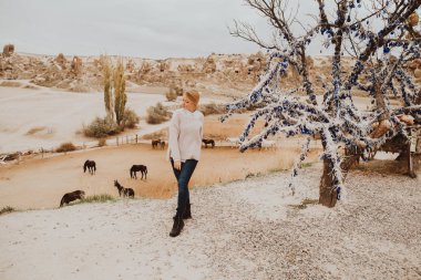 Türkiye'de Kapadokya at çiftliği