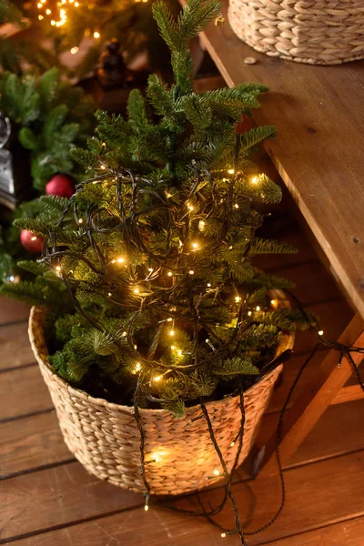 Pequeño Árbol Navidad Con Luces Una Canasta Mimbre Suelo Madera — Foto de Stock