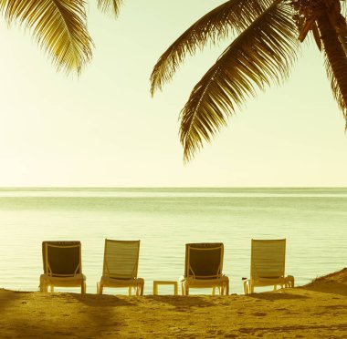 Antika arka plan olarak tropikal palmiye ağaçları ile kum plaj sandalyeleri