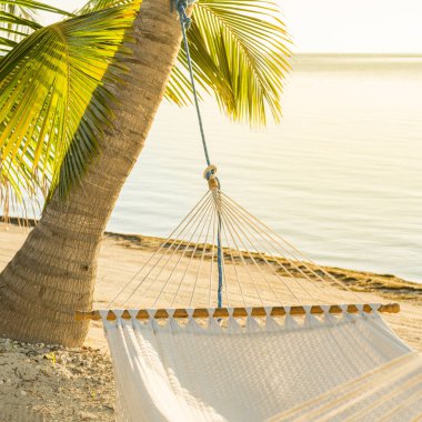 Tropikal hurma sahilinde huzurlu tatil hamak