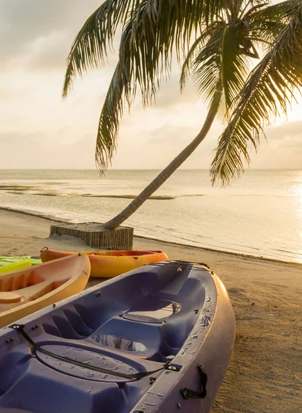 Kayaks Sentados Playa Amanecer Con Hermoso Amanecer —  Fotos de Stock