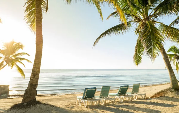 Tropical Beach Vacation Scene Palmtrees Deckchairs Sand Water — Stock Photo, Image