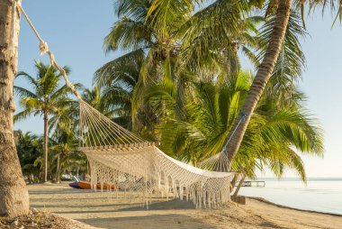 Tropikal beach Resort Tatil hamak