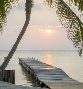 Tropical sunrise over a wooden jetty with palm tree clipart