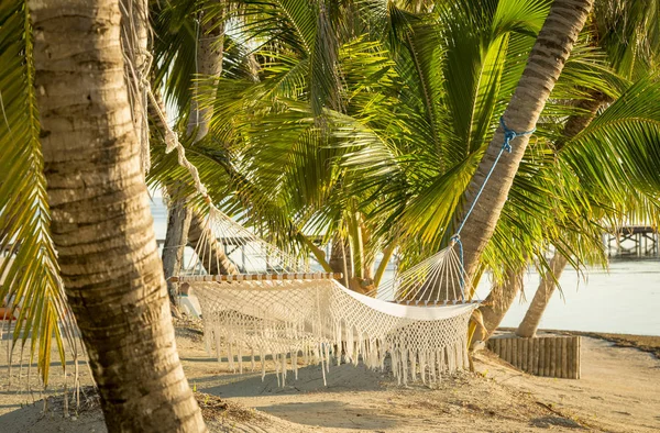 White hammock hanging in palmtrees on tropical beach