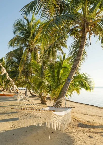 Hamaca Tropical Vacaciones Verano Entre Las Palmeras Junto Océano —  Fotos de Stock