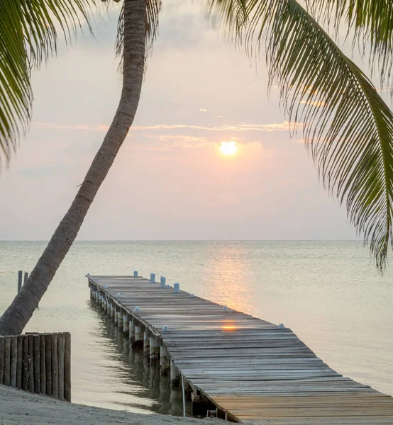 Tropical Sunrise Wooden Jetty Palm Tree — Stock Photo, Image